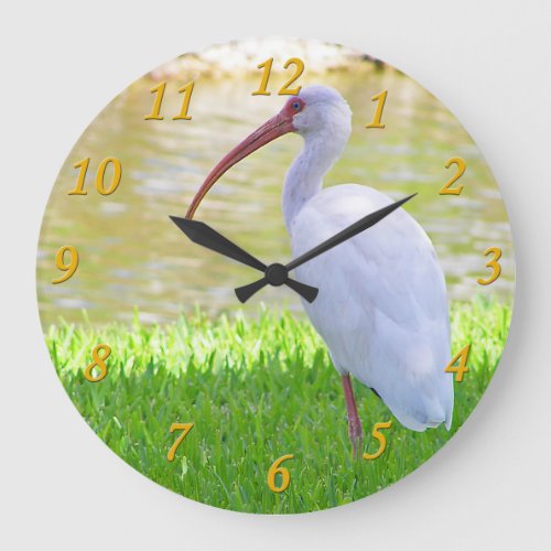 Ibis On One Leg Photograph Large Clock