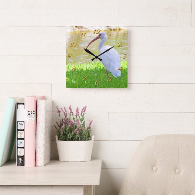 Ibis On One Leg Photograph Square Wall Clock (Reading Room)