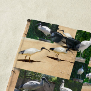 Ibis Photo Collage, Beach Towel