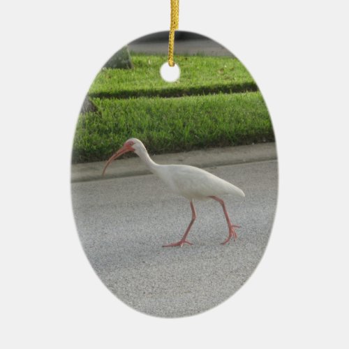 Ibis Walking Ornament