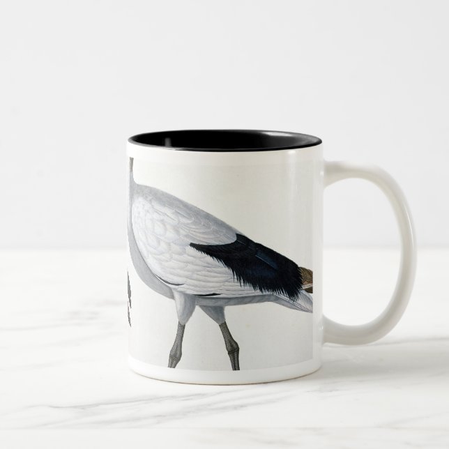 Ibises, from 'Description de l'Eypte', 1817 Two-Tone Coffee Mug (Right)