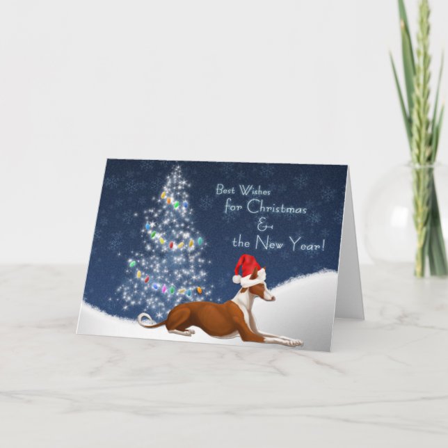Ibizan Hound Christmas Card (Front)
