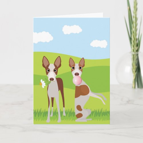 Ibizan Hound Dog Animal Bubble Gum Card