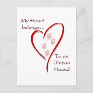 Ibizan Hound Heart Belongs Postcard