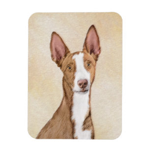 Ibizan Hound Painting - Cute Original Dog Art Magnet