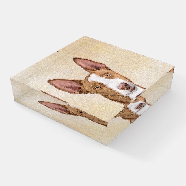 Ibizan Hound Painting - Cute Original Dog Art Paperweight (Angled)