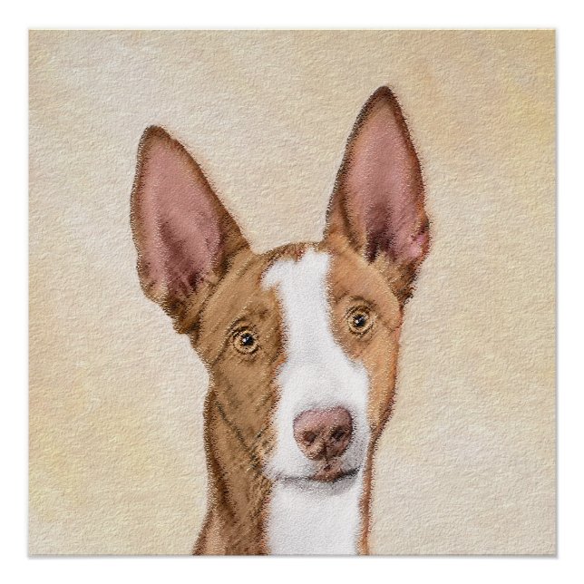 Ibizan Hound Painting - Cute Original Dog Art Poster (Front)