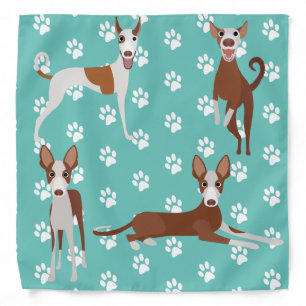 Ibizan Hound Paw Print Pattern Animal Dog Bandana