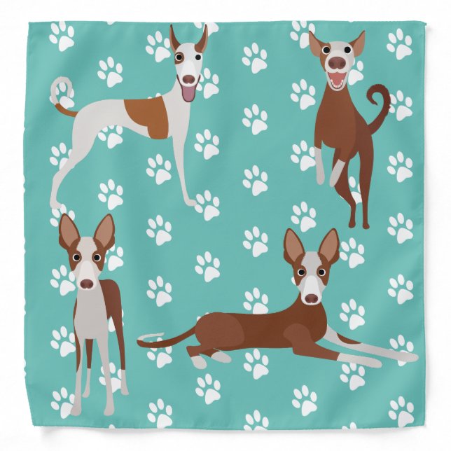 Ibizan Hound Paw Print Pattern Animal Dog Bandana (Front)
