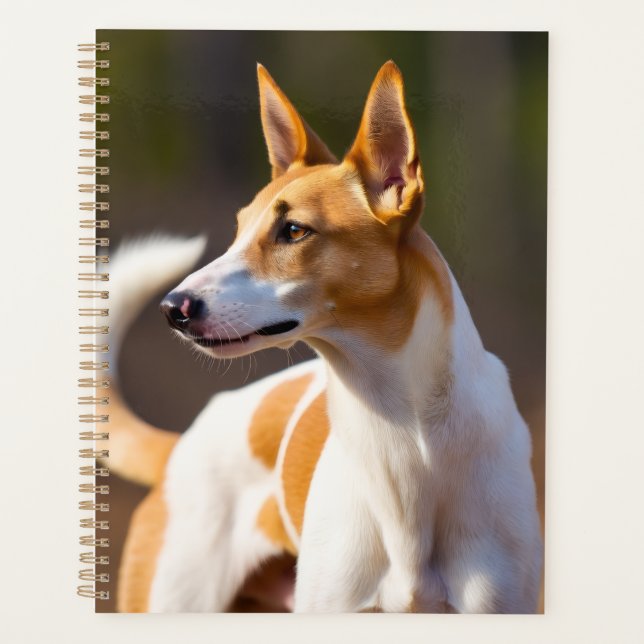 Ibizan Hound Planner (Front)