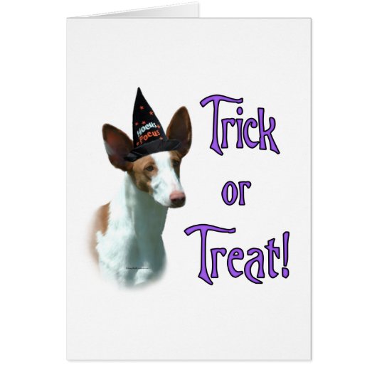 Ibizan Hound Trick Cards (Front)