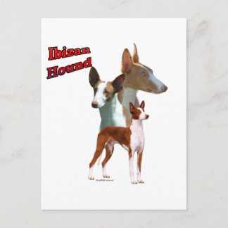 Ibizan Hound Trio 2 Postcard