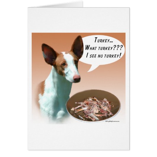 Ibizan Hound Turkey Cards (Front)