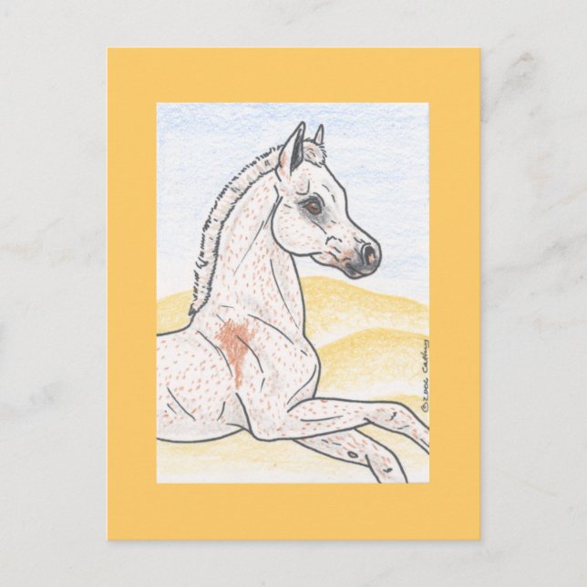 Ibn Shai Hulud Postcard (Front)