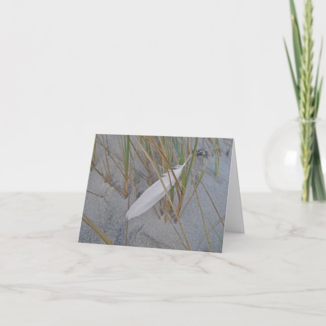 IBSP Seagull Feather in Dune Grass Note Card (Front)