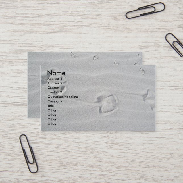 IBSP Seagull Tracks Business Cards (Front/Back In Situ)