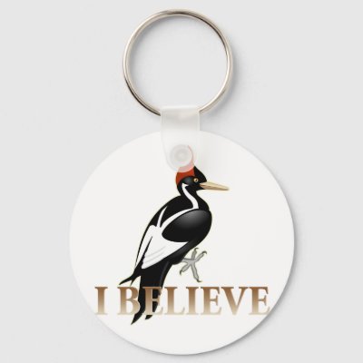 IBWO: I Believe Keychain