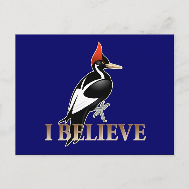 IBWO: I Believe Postcard (Front)