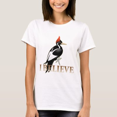 IBWO: I Believe T-Shirt