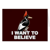 IBWO: I Want To Believe (Front Horizontal)