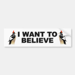 IBWO: I Want To Believe Bumper Sticker