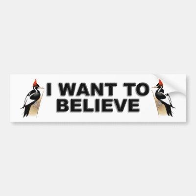 IBWO: I Want To Believe Bumper Sticker