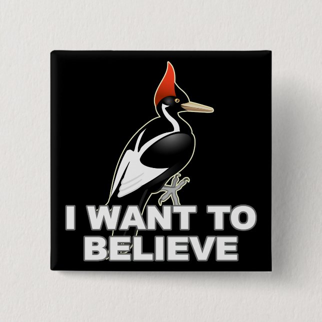 IBWO: I Want To Believe Button (Front)
