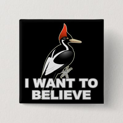IBWO: I Want To Believe Button
