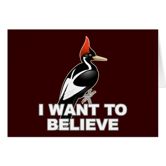 IBWO: I Want To Believe Cards (Front Horizontal)