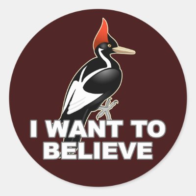 IBWO: I Want To Believe Classic Round Sticker