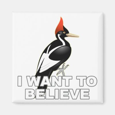 IBWO: I Want To Believe Magnet
