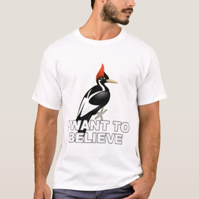 IBWO: I Want To Believe T-Shirt
