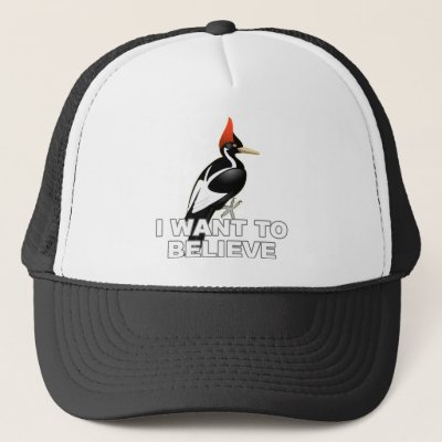 IBWO: I Want To Believe Trucker Hat