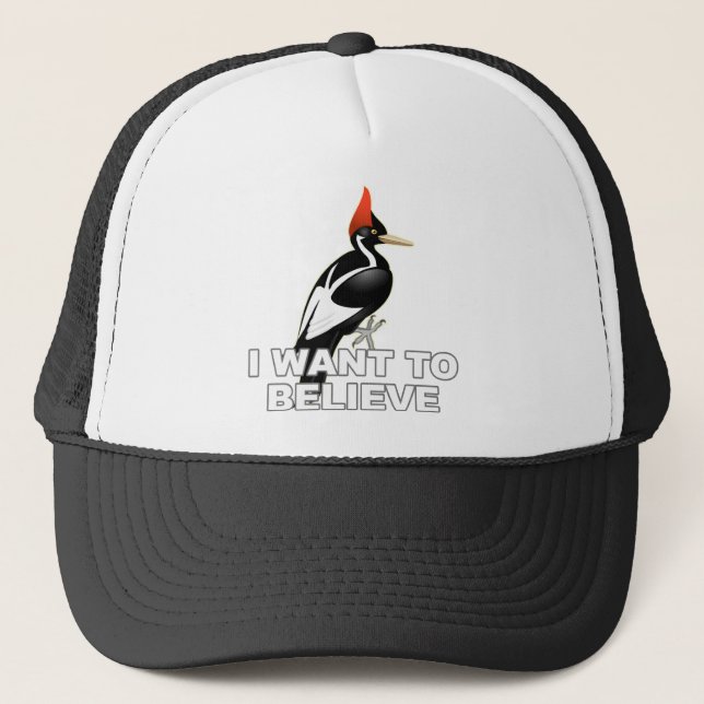 IBWO: I Want To Believe Trucker Hat (Front)
