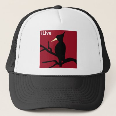 IBWO: iLive Trucker Hat
