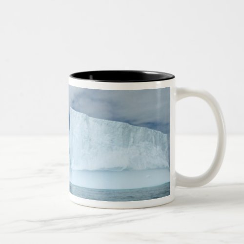 Ice Bergs off of the southern tip of South 2 Two_Tone Coffee Mug