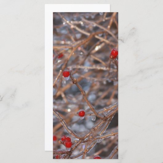 Ice Berries (Front/Back)