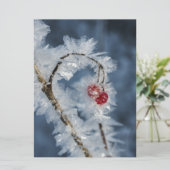 Ice Berries (Standing Front)