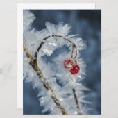 Ice Berries (Front/Back)