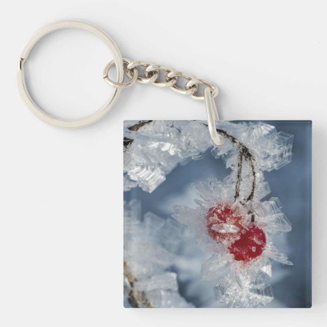 Ice Berries Keychain (Front)