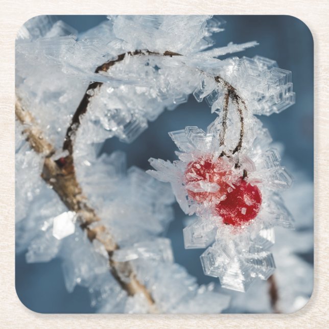 Ice Berries Square Paper Coaster (Front)