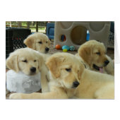 Ice Block Card (Front Horizontal)