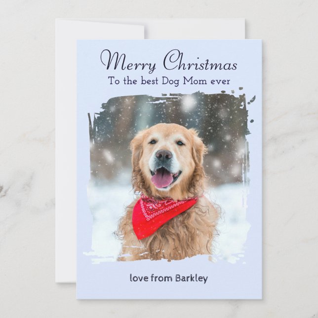 Ice Blue Winter Dog Mom Custom Pet Photo Christmas Holiday Card (Front)