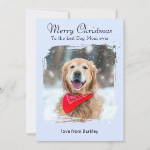 Ice Blue Winter Dog Mom Custom Pet Photo Christmas Holiday Card