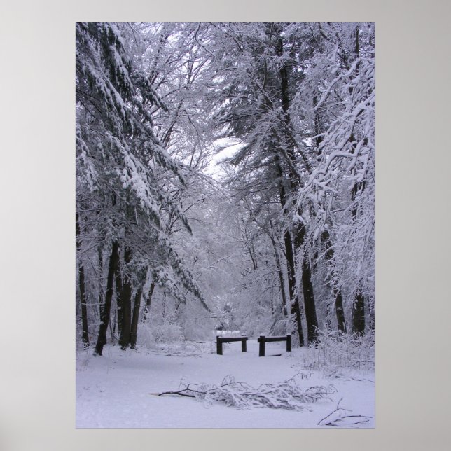 Ice Cathedral 2 ~ print (Front)