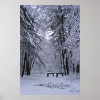 Ice Cathedral ~ print