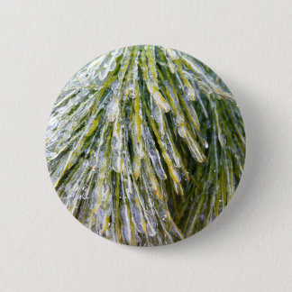 Ice Coated Pine Needles Winter Botanical Button