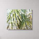 Ice Coated Pine Needles Winter Botanical Canvas Print