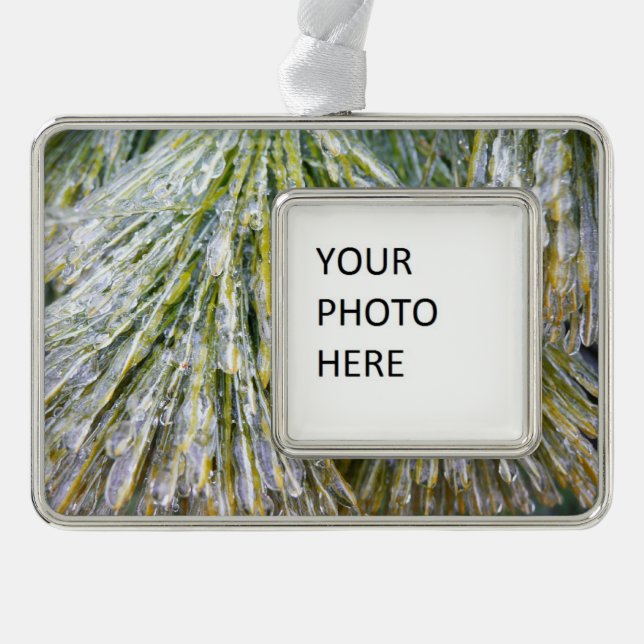 Ice Coated Pine Needles Winter Botanical Christmas Ornament (Front)