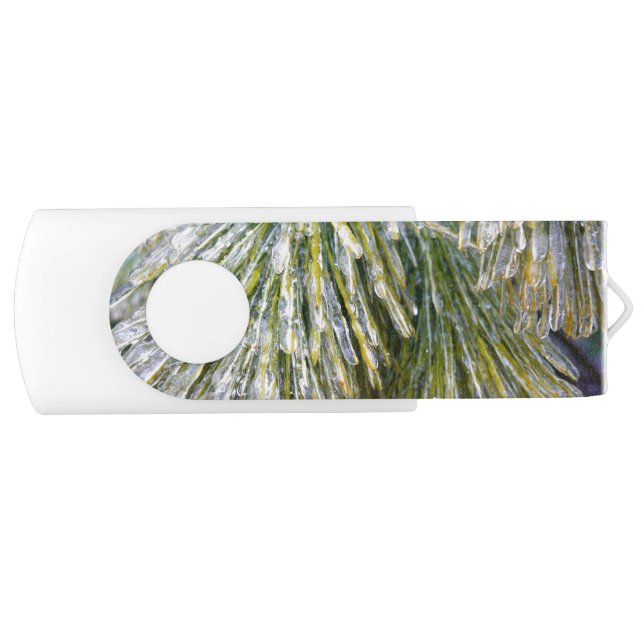Ice Coated Pine Needles Winter Botanical Flash Drive (Front)
